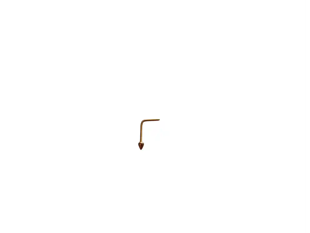 Piercing Nariz L