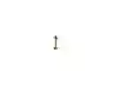 Piercing Menton