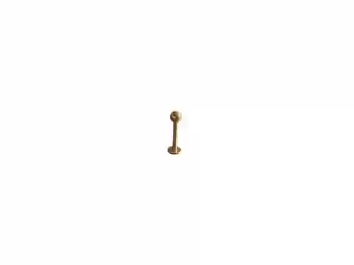 Piercing Menton