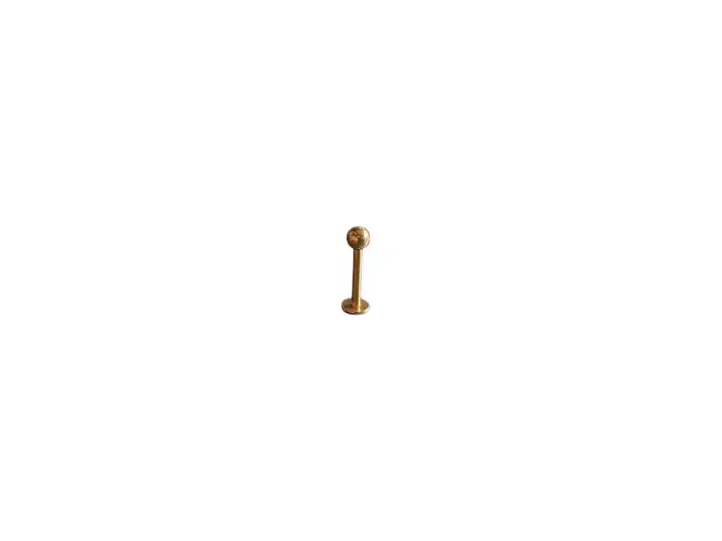 Piercing Menton