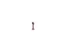 Piercing Menton