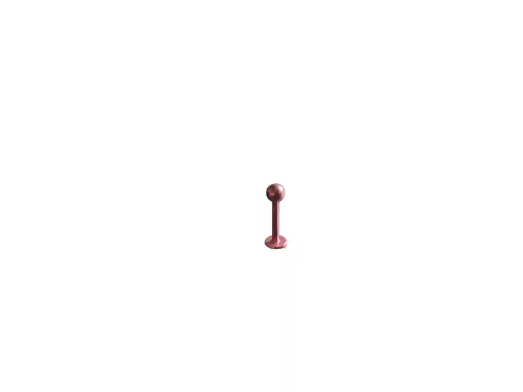 Piercing Menton
