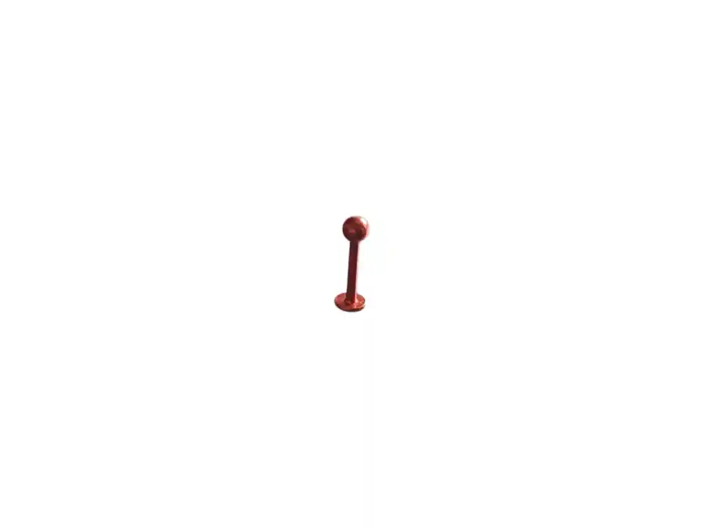 Piercing Menton