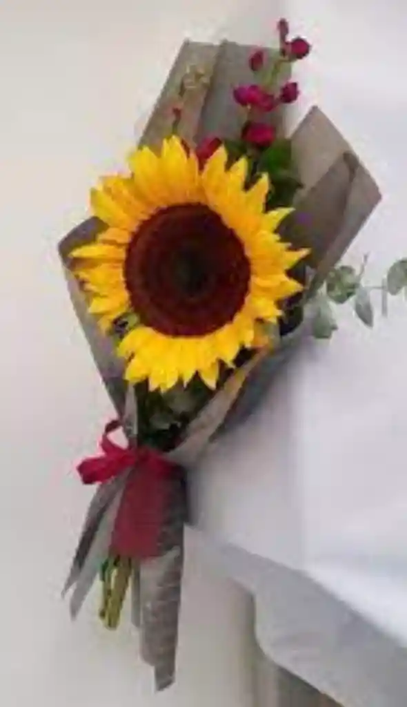 Unidad Girasol Linda Ocasion
