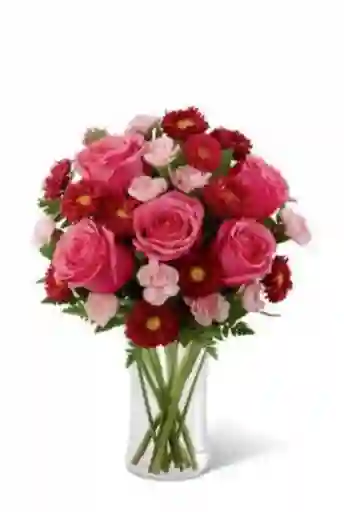 Rosas Verano