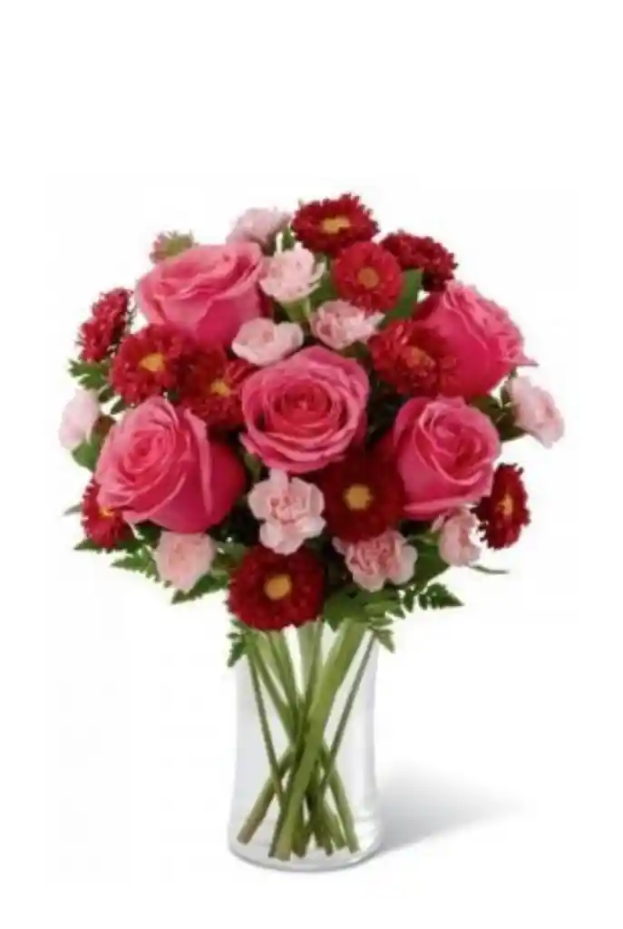 Rosas Verano