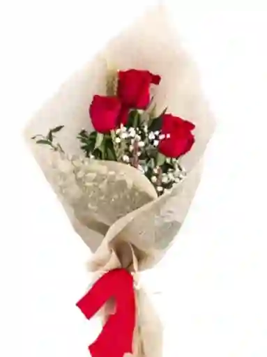 Rosa Solitario