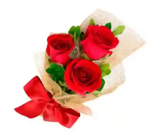 Rosa Solitario