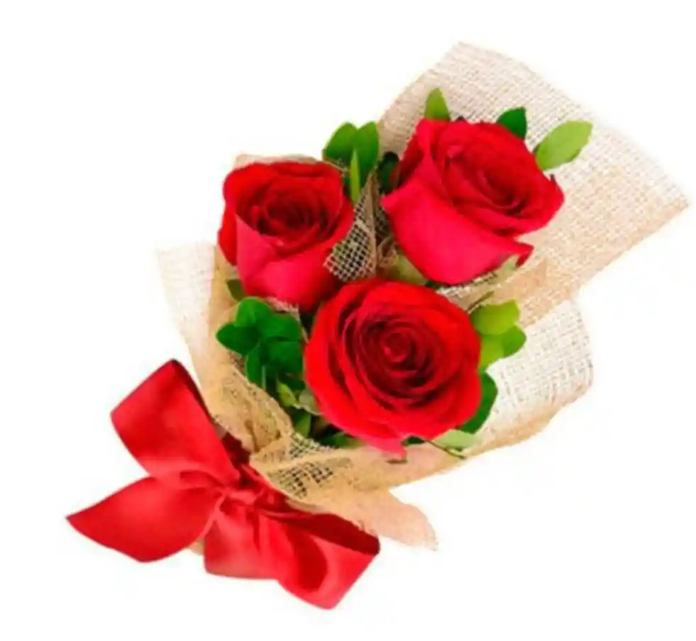 Rosa Solitario