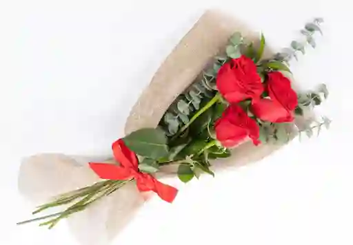 Rosas Lindo Dia