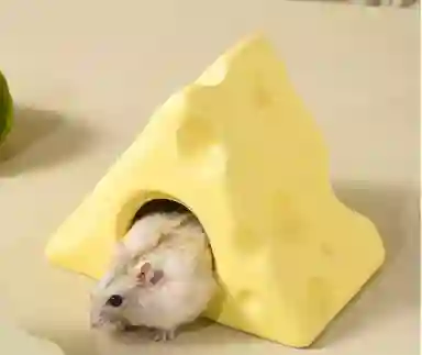 Casita Refrigerante Forma De Queso Para Hamster