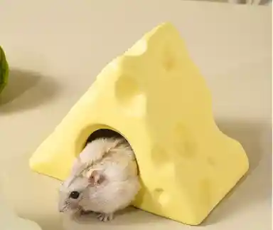 Casita Refrigerante Forma De Queso Para Hamster