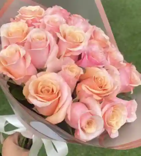 Rosas Rosadas Dulce Cariño