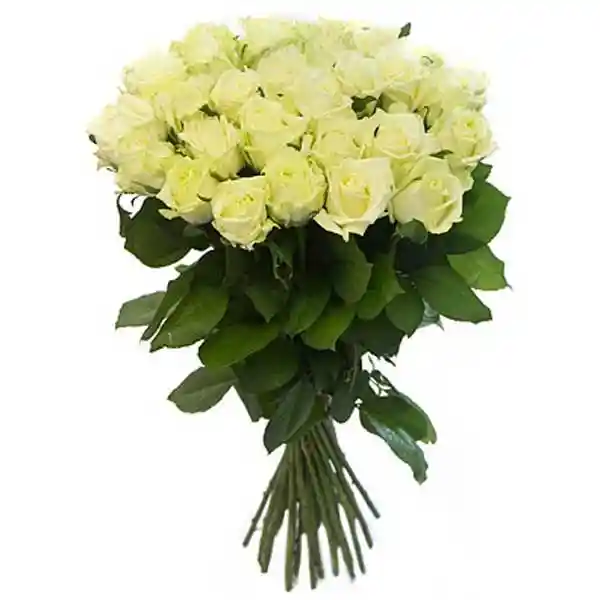 Bouquet 24 Rosas Blancas