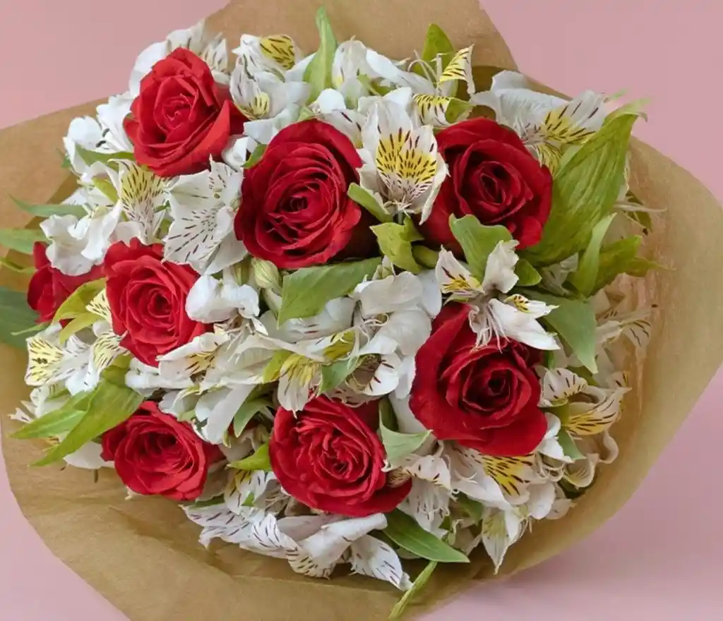 Rosas Astromelias