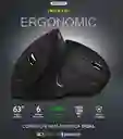 Jr Mouse Ergonomico 0-24