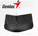 Genius Kb-700 Teclado Ergonomico