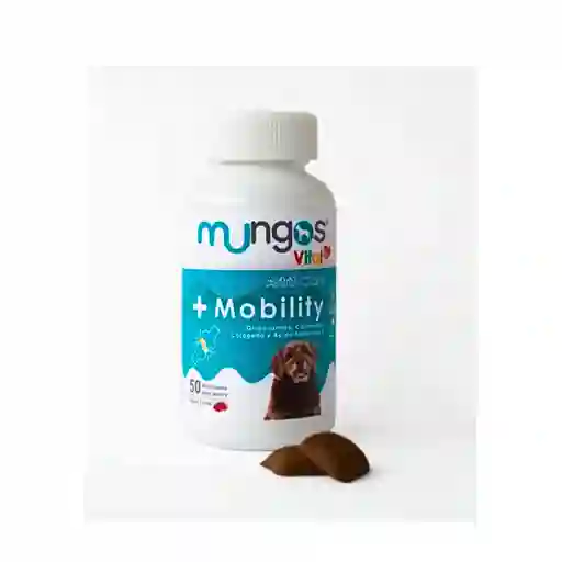 Mungos Mobility Perro