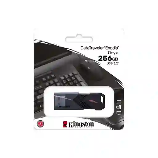 Memoria Usb Kingston 256gb Dtxon256gb Ne	