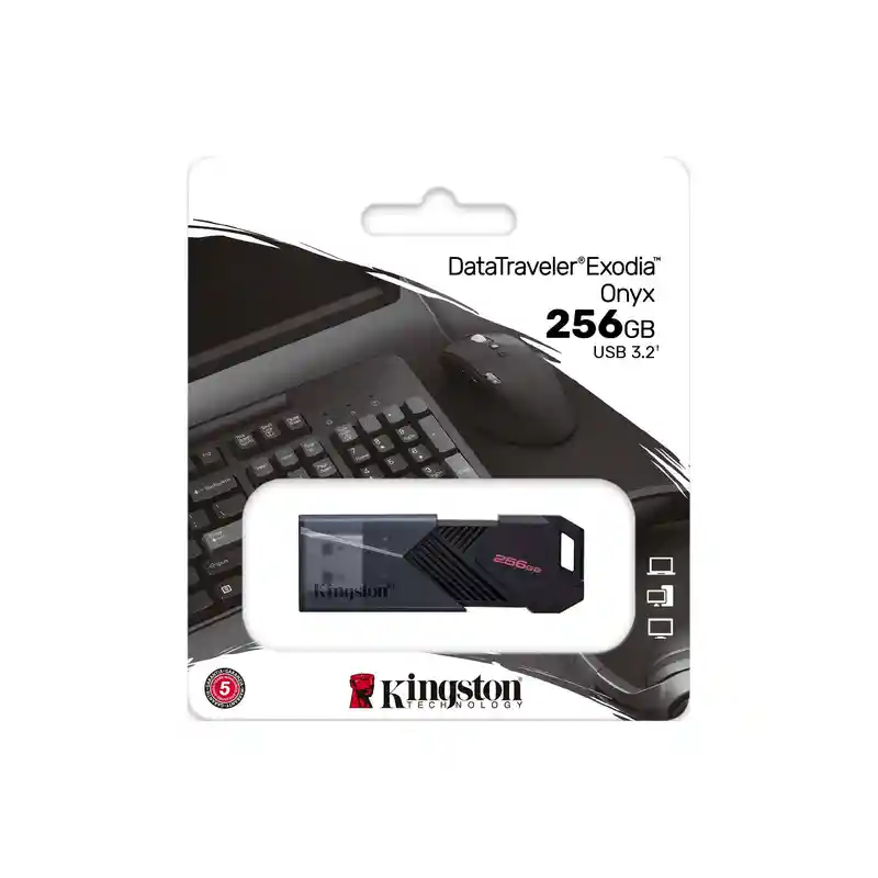 Memoria Usb Kingston 256gb Dtxon256gb Ne	
