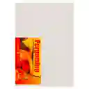 Papel Pergamino 90gr En 1/8 Und