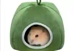 Camita Para Hamster Diseño Calabaza