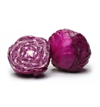 Repollo Morado