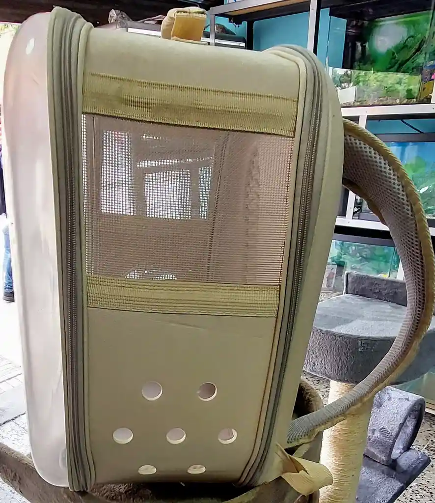 Morral Beage