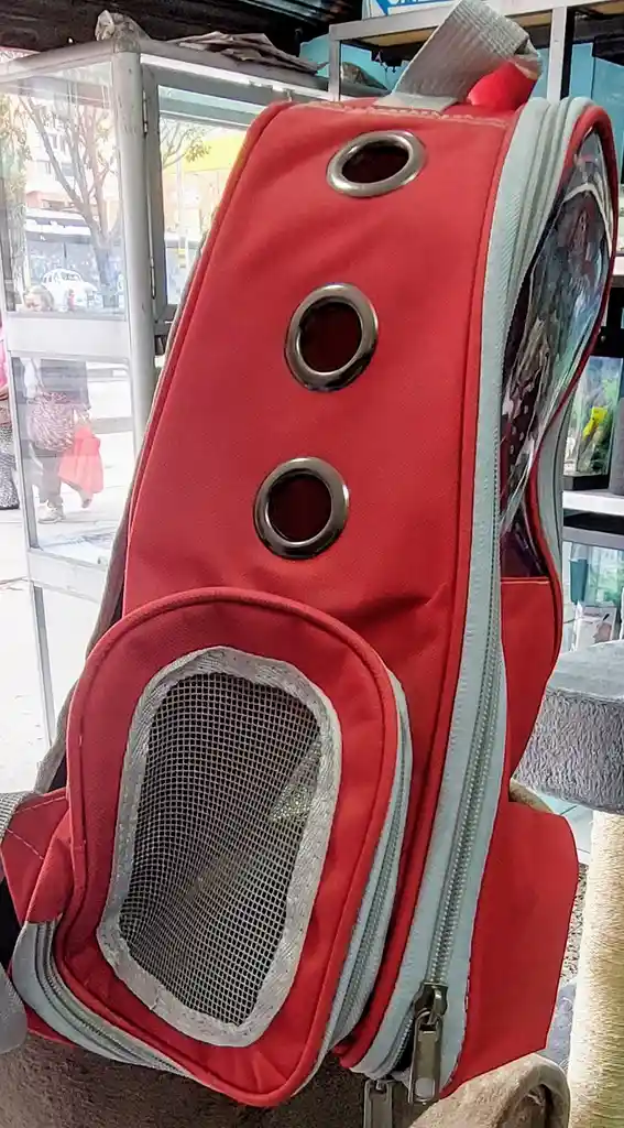 Morral Rojo