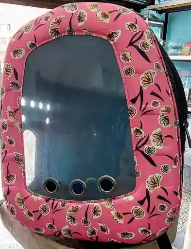 Morral Rosa