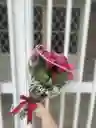 Mini Rosas