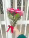 Mini Rosas