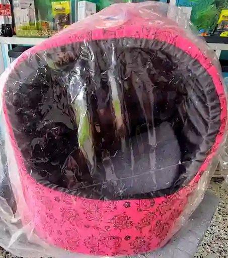 Iglu Para Gato