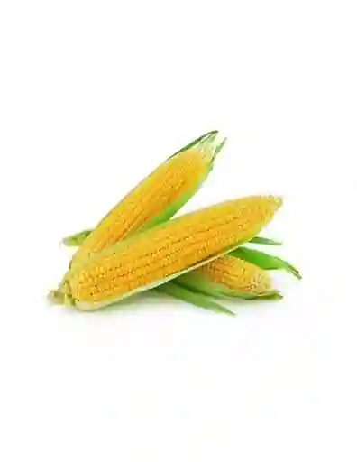 Mazorca