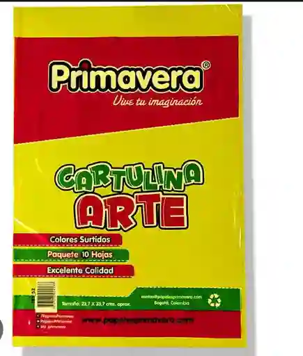 Cartulina Arte En Octavo