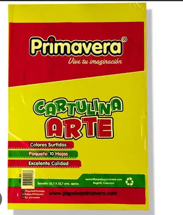 Cartulina Arte En Octavo