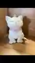 Vela En Forma De Gato