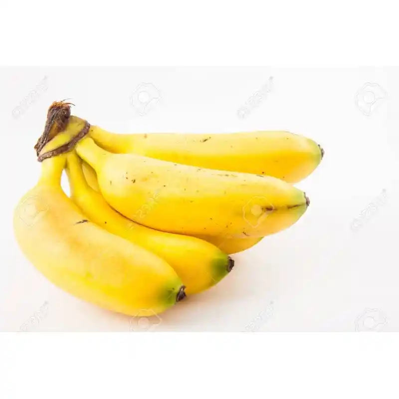 Murrapo