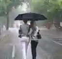 Paraguas De Viaje A Prueba De Viento