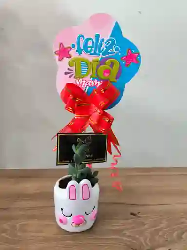 Materas De Figuritas Y Plantas