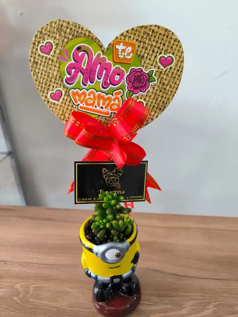 Materas De Figuritas Y Plantas
