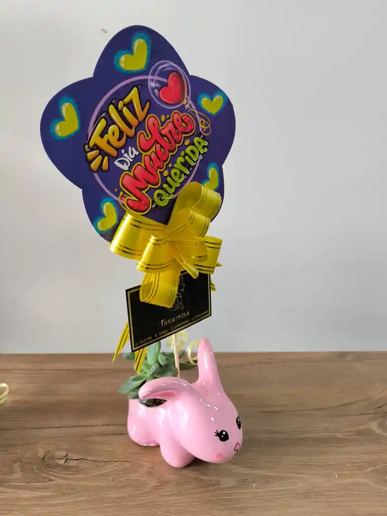 Materas De Figuritas Y Plantas