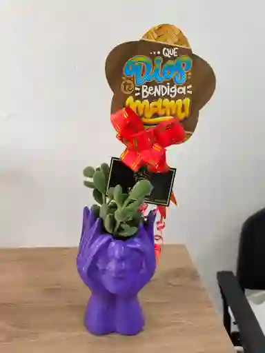 Materas Figuritas