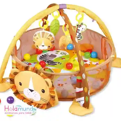 Gimnasio Corral Para Bebe 3 En 1. León