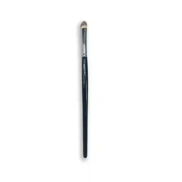 Salon Expert Brocha Pluma Corrector No. 13