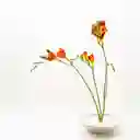 Disco Ikebana