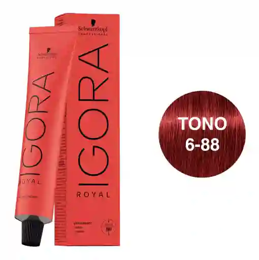 Igora Royal Tono 6-88 Rubio Oscuro Rojo Intenso 60ml