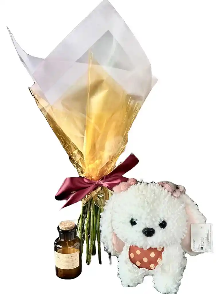 Combo De Ramo De Rosas Rojas, Peluche Perro Premium Y Vela De Soya