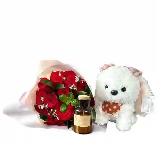 Combo De Ramo De Rosas Rojas, Peluche Perro Premium Y Vela De Soya