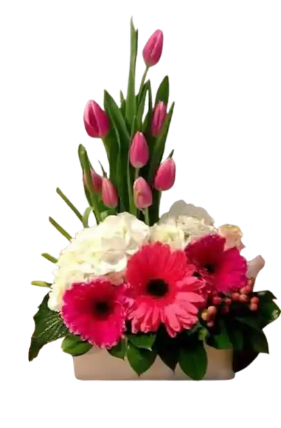 Nube De Tulipanes